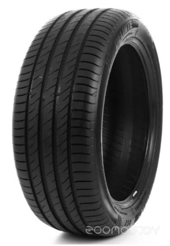 DELINTE DS2 SUV 255/45R20 105W