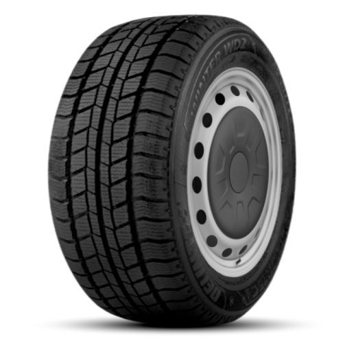 DELINTE WINTER WD2 205/65R16C 107R