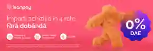 Plata in rate cu Leanpay